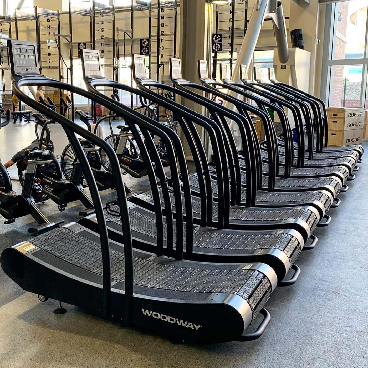 Woodway curve best sale xl treadmill